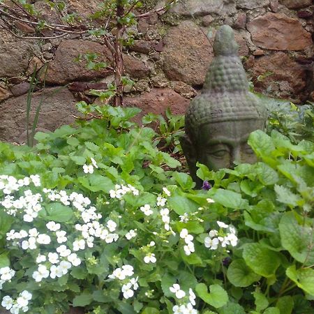 Le Clos De La Source Bed and Breakfast Le Bousquet-d'Orb Exterior foto