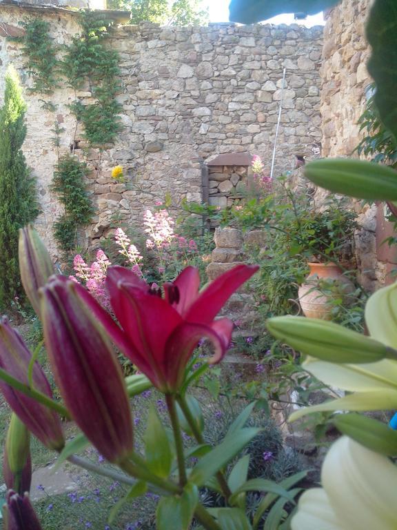 Le Clos De La Source Bed and Breakfast Le Bousquet-d'Orb Exterior foto